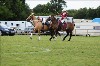 UKPA NC SAT_2809